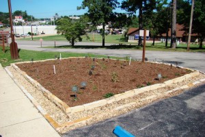 Final Pollinator Garden.