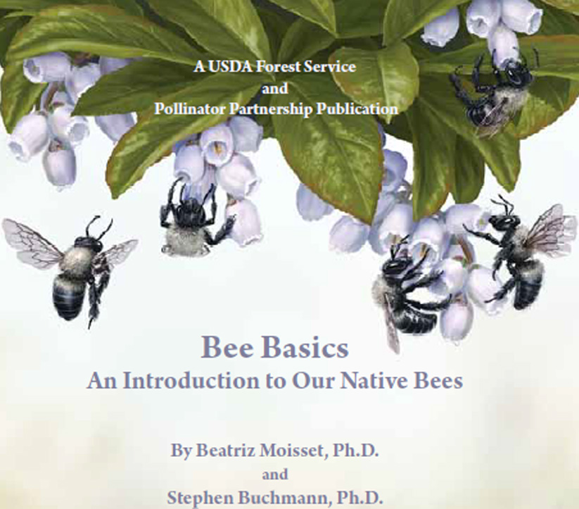 Cover of the Bee Basics publication.