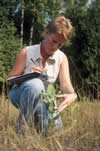 Picture of a woman kneeling recording information about a milkweed on a clipboard.