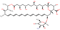 amphotericin B