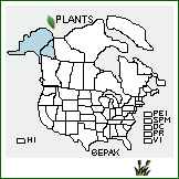 Distribution of Betula papyrifera Marshall var. kenaica (W.H. Evans) A. Henry. . 