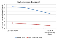 chlorophyll chart