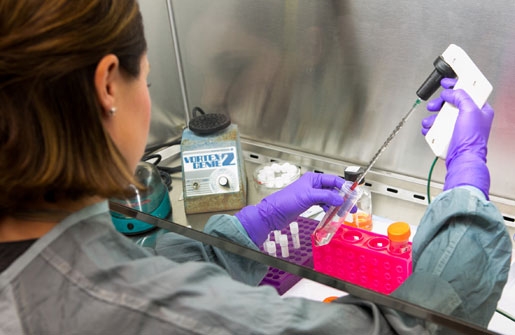 image of flu testing in the labs