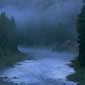 Blackfoot River in fog-Montana