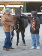 A volunteer with an adopter petting a horse