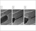 Electron micrographs reveal the atomic structure of the carbon nanotube and its filler material.