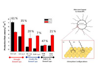 The strong chemical binding of oleic acid capping molecules to the surface of copper oxides stabilizes reactive sites and improves their electrocatalytic reactivity for converting carbon dioxide to carbon monoxide. 