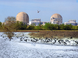 Photo of South Texas Project Electric Generating Station, Units 1 and 2