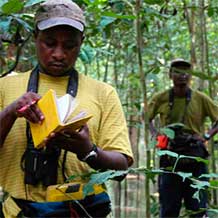 Climate Change Pillar: Sustainable Landscapes - Conserving forests and reducing deforestation to reduce emissions