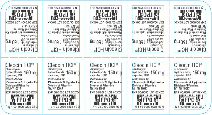 PRINCIPAL DISPLAY PANEL - 150 mg Capsule Blister Pack