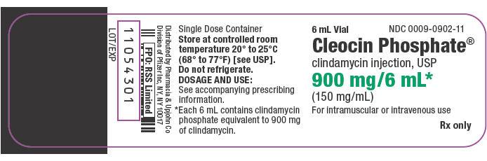 PRINCIPAL DISPLAY PANEL - 900 mg/6 mL Vial Label