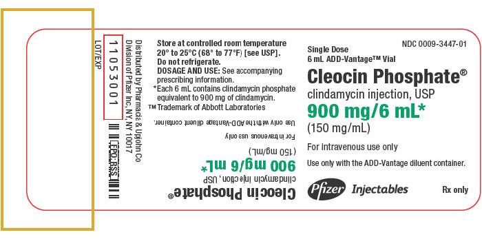 Principal Display Panel - 900 mg/6 mL Vial Label