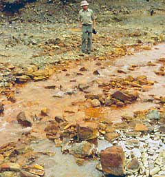 iron contamination is apparent in the Idaho Blackbird Creek, Lemhi County, Idaho