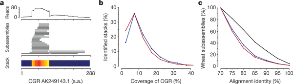 Pseudogene identification and analysis.