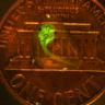 glowing-tadpole-on-penny