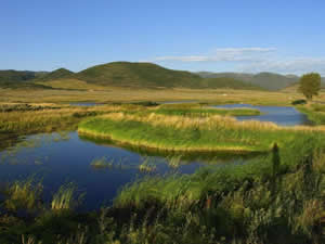 Richardson Flat Tailings Site. Credit: RMA Inc., 2009