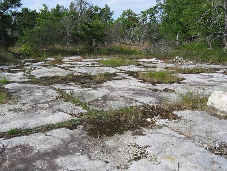 Gadway Sand Barrens, located in the Adirondack Nature Conservancy of New York, were formed ~13,000 years ago, when a catastrophic flood scoured away the glacial till on the surface, exposing the Potsdam Sandstone bedrock.  The flood resulted from drainage of glacial Lake Iroquois that released more than 500 km3 of water from Lake Iroquois (Rayburn et al., 2005).  The Flat Rocks occur where flood scour was at a maximum.  Geologic and glaciological evidence indicate that the flood may have lasted 2.5 months, and the resulting landforms and ecosystems still contain unique plant communities, reflecting the long-term impacts of such abrupt events.  Photo provided by T.M. Cronin, USGS.