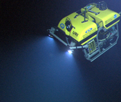 ROV spotlight