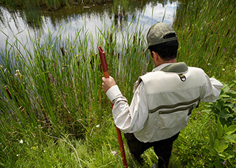 Environmental engineers