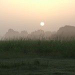 sunrise-on-cane-river