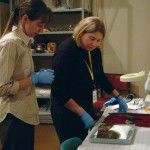 Roane (left) and Nancy Odegaard (right), conservator and head of preservation at the Arizona State Museum, assess an artifact in the cleaning study.