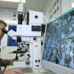 A researcher using thin section petrography for the analysis of a material.
