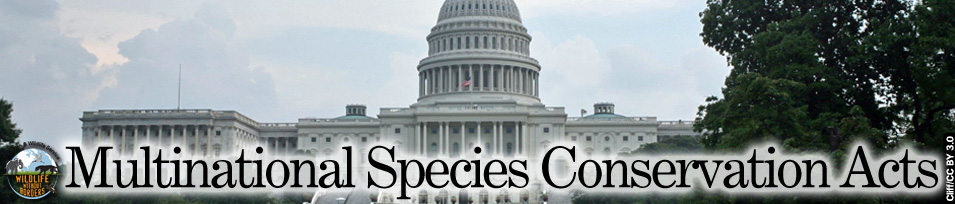 U.S. Capitol Building Multinational Species Conservation Act banner