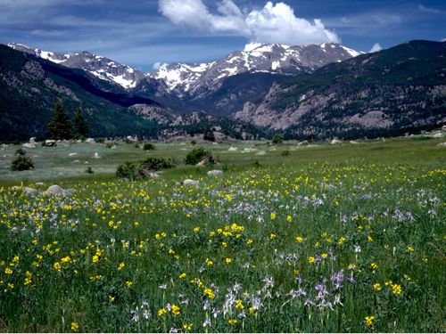 Rocky Mountain National Park is famous for its wild alpine and subalpine beauty. Click through for image source.