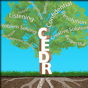 cedr tree