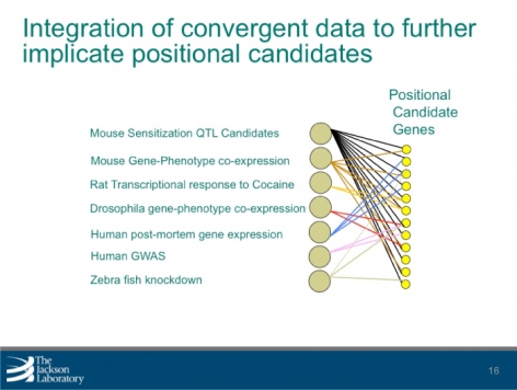 Integration of convergent data to further implicate positional candidates
