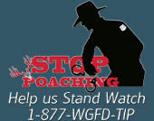 Stop Poaching - It