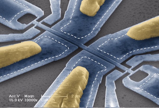 A team led by scientists at the California Institute of Technology (Caltech) has made the first-ever mechanical device that can measure the mass of individual molecules one at a time. This scanning electron micrograph shows one of devices. The scale bar at the bottom is two microns (millionths of a meter).  (Photo: Caltech / Scott Kelber and Michael Roukes)