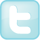 Twitter badge