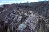 Serpentine barrens surrounded by forest.