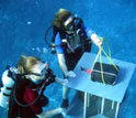 Image of two researchers in scuba gear obtaining information about Mo'orea's coral reefs.