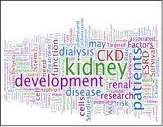 An image of Kidney Dialogue.