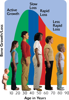 Image showing women at different ages and how bone growth slows down as we age