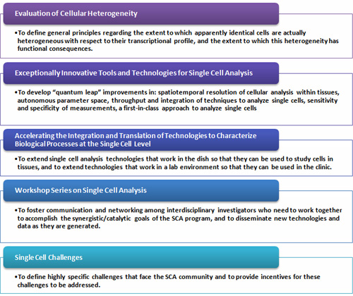 Evaluation of Cellular Heterogeneity, Exceptionally Innovative Tools and Technologies for Single Cell Analysis, Accelerating the Integration and Translation of Technologies to Characterize Biological Processes at the Single Cell Level, Workshop Series on Single Cell Analysis and Single Cell Challenges