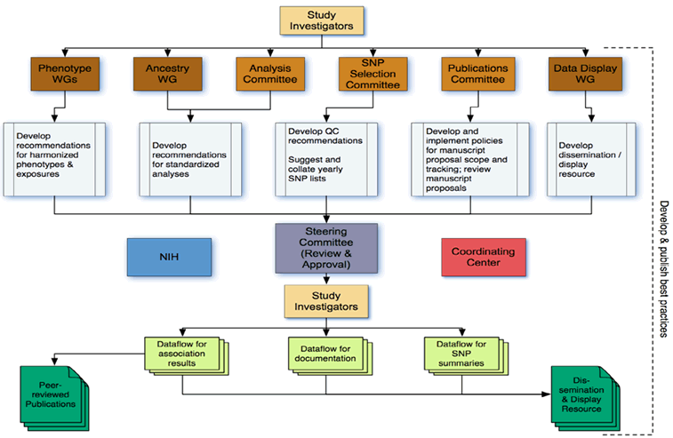 Diagram of project structure