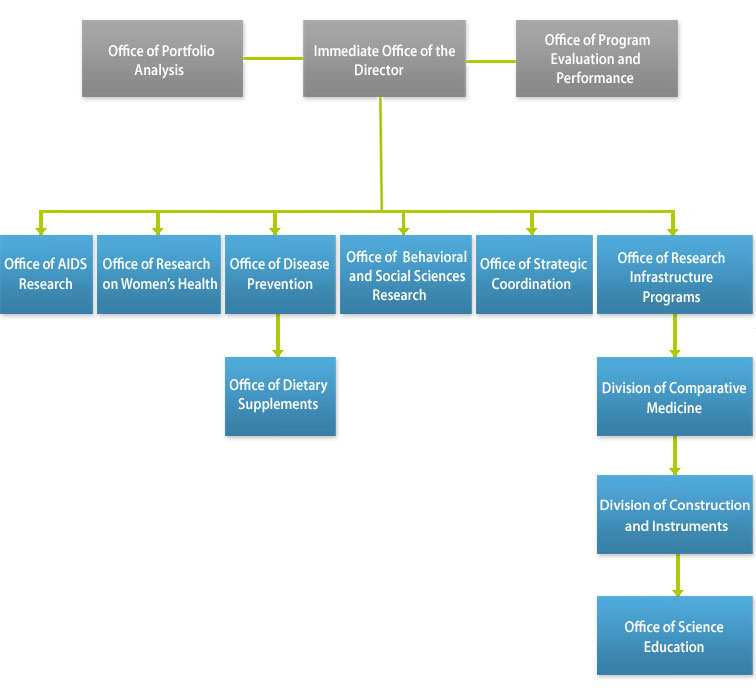 DPCPSI Organizational Chart