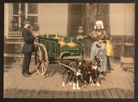 Flemish milk women, Antwerp, Belgium. Photochrom print.