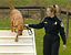 This handler takes her dog through the obstacle course.