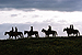 Sometimes the United States Border Patrol utilizes horses in difficult terrain to insure the safety of the nation's border.