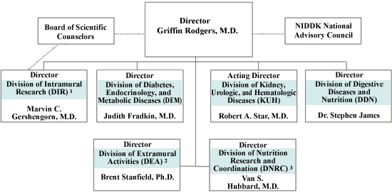 Organizational Chart