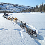 A multimedia feature about dog mushing in Gates of the Arctic