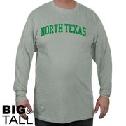 North Texas Mean Green Basic Arch Big and Tall Long Sleeve T-Shirt - Ash