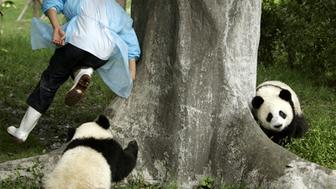 Playing with pandas