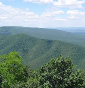 Hills in Virginia