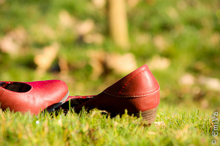 FlickrFriday #DorothysRedShoes