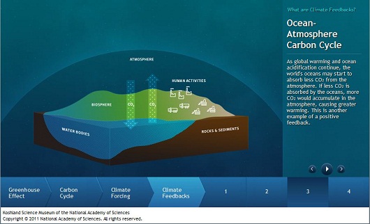 Ocean-Atmosphere Carbon Cycle: As global warming and ocean acidification continue, the world's oceans may start to absorb less CO<sub>2</sub> from the atmosphere. If less CO<sub>2</sub> is absorbed by the oceans, more CO<sub>2</sub> would accumulate in the atmosphere, causing greater warming. This is another example of a positive feedback.